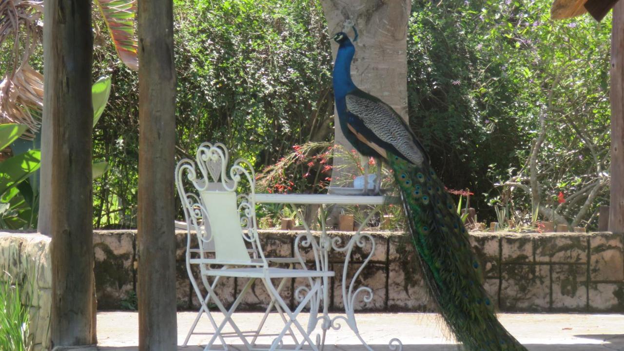 Dwaleni Farm Lodge Matsapha Eksteriør billede